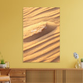 Organische Zandsteen Woestijnrimpelstructuur Canvas Afdruk (Insitu (Woonkamer))