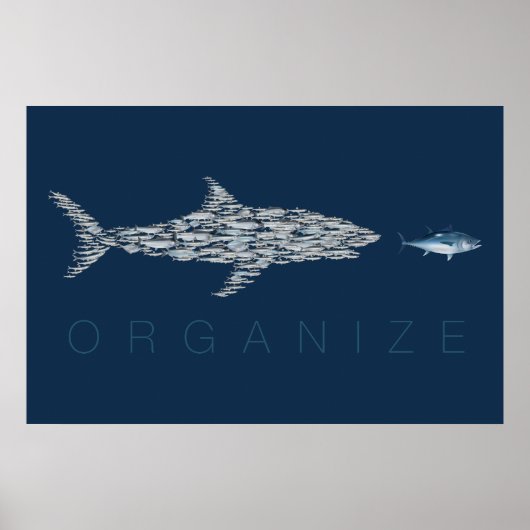 Organize Fish Poster (Voorkant)