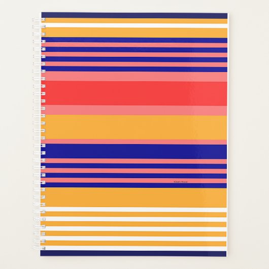 ORGANIZER GEEL BLAUW STRIPED PLanner (Voorkant)