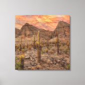 Orgelpijpcactus op houtnerf zonsondergang foto canvas afdruk (Voorkant)