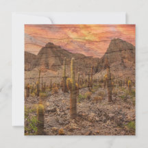 Orgelpijpcactus op houtnerf zonsondergang foto