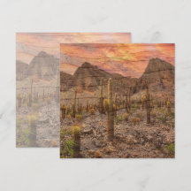 Orgelpijpcactus op houtnerf zonsondergang foto