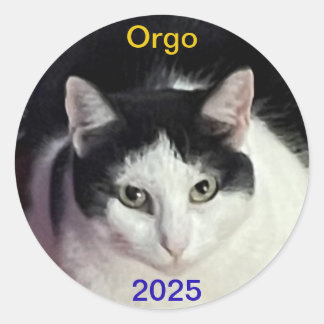 ORGO cat Ronde Sticker