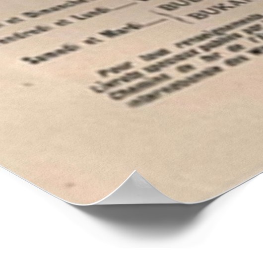 Orient Express Travel Print (Hoek)