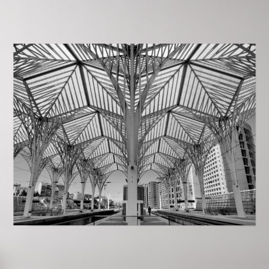 Orient Train Station Poster (Voorkant)