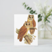 Oriental Bay Owl Briefkaart (Staand voorkant)