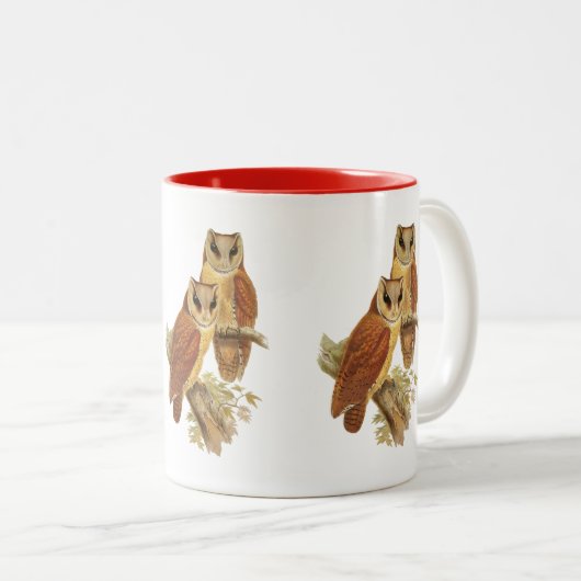 Oriental Bay Owl Tweekleurige Koffiemok (Voorkant rechts)