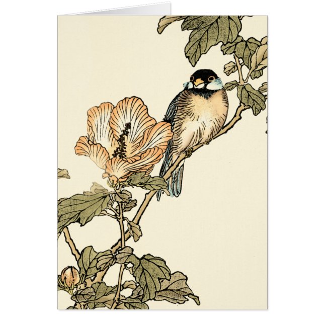 Oriental Bird Perch op Branch (Voorkant)