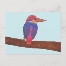 ORIENTAL DWARF KINGFISHER BRIEFKAART