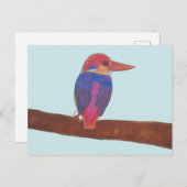 ORIENTAL DWARF KINGFISHER BRIEFKAART (Voorkant / Achterkant)