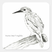 Oriental Dwarf Kingfisher in Pen Tekening Vierkante Sticker (Voorkant)