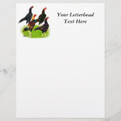 Oriental Game Fowl Quartet (Voorkant)