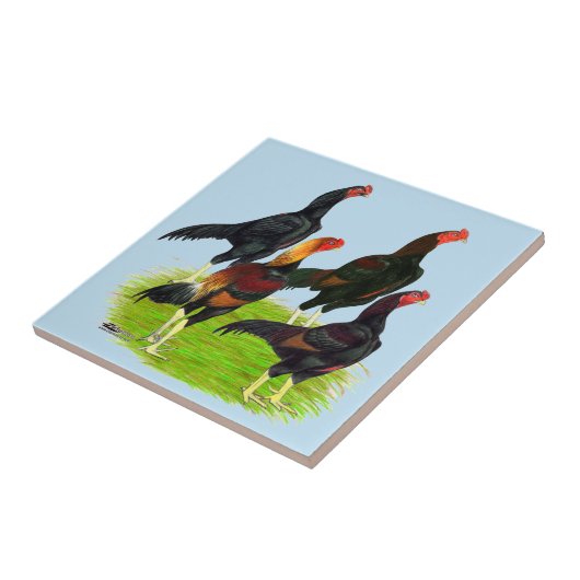 Oriental Game Fowl Quartet Tegeltje (Zijkant)