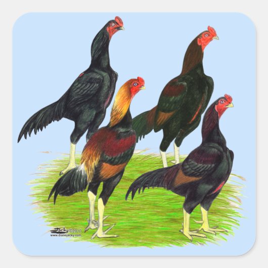 Oriental Game Fowl Quartet Vierkante Sticker (Voorkant)