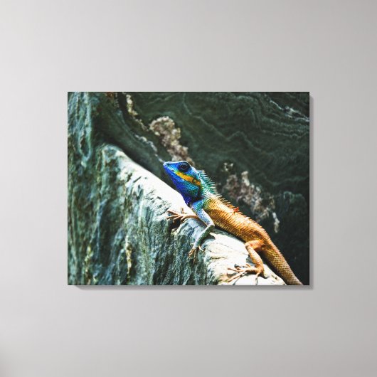 Oriental Garden Lizard - Wrapped Canvas Afdruk (Voorkant)