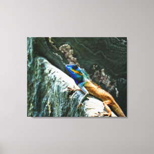 Oriental Garden Lizard - Wrapped Canvas Afdruk