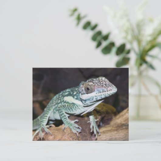 Oriental Knight Anole Lizard close up Briefkaart (Staand voorkant)