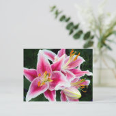 Oriental Lily Closeup in Full Bloom Briefkaart (Staand voorkant)