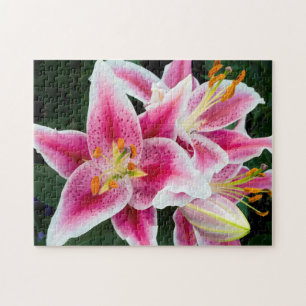 Oriental Lily Closeup in Full Bloom Legpuzzel