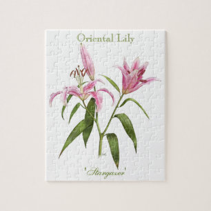 Oriental Lily - Stargazer Legpuzzel