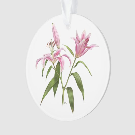Oriental Lily - Stargazer Ornament (voorkant)