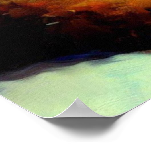 Oriental Longhair Cat Poster (Hoek)