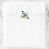 Oriental Magpie-Robin Songbird Stickers (Tas)