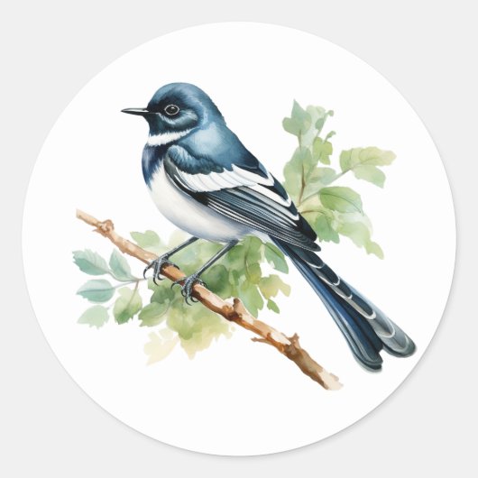 Oriental Magpie-Robin Songbird Stickers (Voorkant)