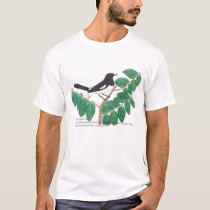 Oriental Magpie-Robin T-shirt