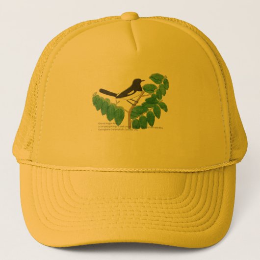 Oriental Magpie-Robin Trucker Pet (Voorkant)