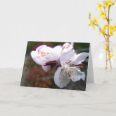 Oriental Peach Bloom Wenskaart Kaart (Gele Bloem)