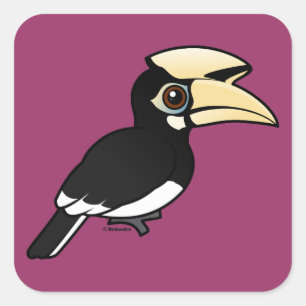 Oriental Pied Hornbill Vierkante Sticker