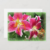 Oriental Pink Stargazer Lily/Garden Briefkaart (Voorkant / Achterkant)