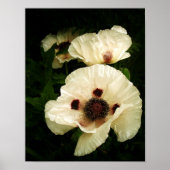 Oriental Poppies Cream Poster (Voorkant)