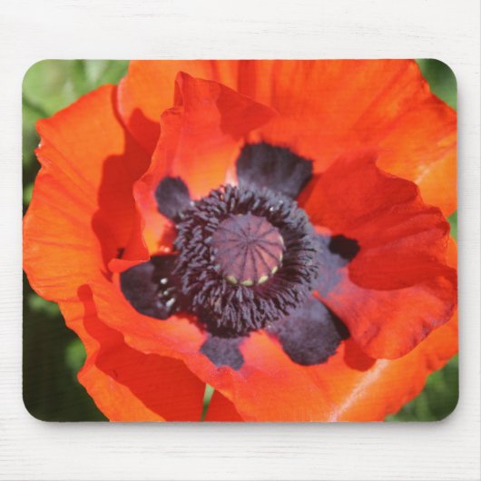 Oriental Poppy Flower Muismat (Voorkant)