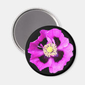 Oriental Poppy fridge magnet zwart (Voorkant / Achterkant)