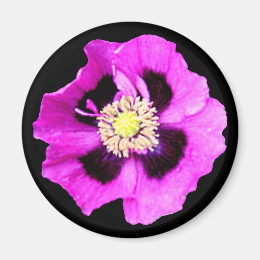 Oriental Poppy fridge magnet zwart (Voorkant)