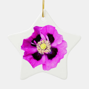 Oriental Poppy ornament star white