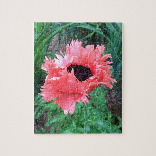 Oriental POPPY "Pink Ruffles" — Legpuzzel (Verticaal)