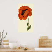 Oriental Poppy Poster (Keuken)