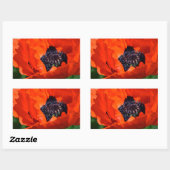 Oriental Poppy Rechthoekige Sticker (Vel)