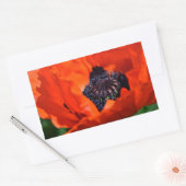 Oriental Poppy Rechthoekige Sticker (Envelop)