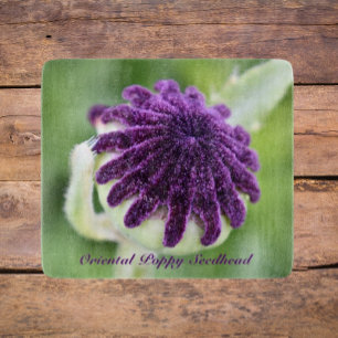 Oriental Poppy Seed Head Floral Snijplank