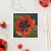 Oriental poppy   servet (Insitu)