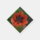 Oriental poppy   servet (Hoek)