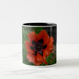 Oriental poppy    tweekleurige koffiemok