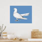 Oriental Roller Pigeon Flying Type Poster (Keuken)