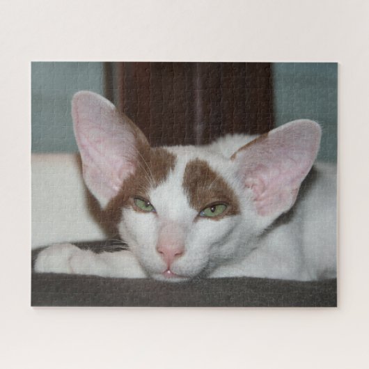 Oriental Shorthair Cat Legpuzzel (Horizontaal)