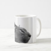 Oriental Shorthair Cat Mok (Voorkant rechts)