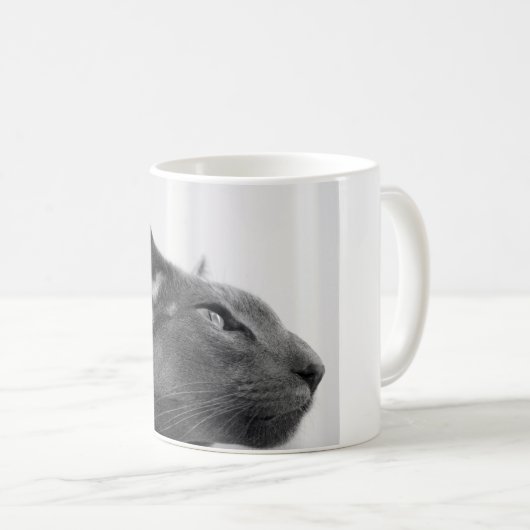 Oriental Shorthair Cat Mok (Voorkant rechts)